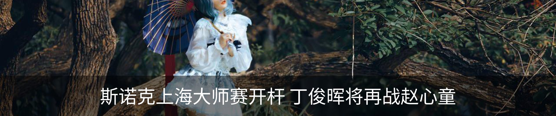 内页banner